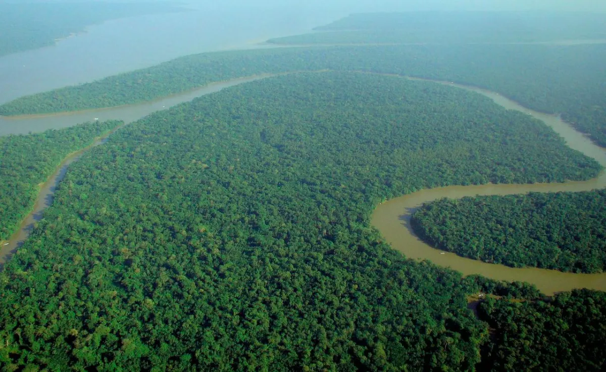 A Relação Entre Colonialismo, Meio Ambiente e a Luta por Justiça Ecológica
